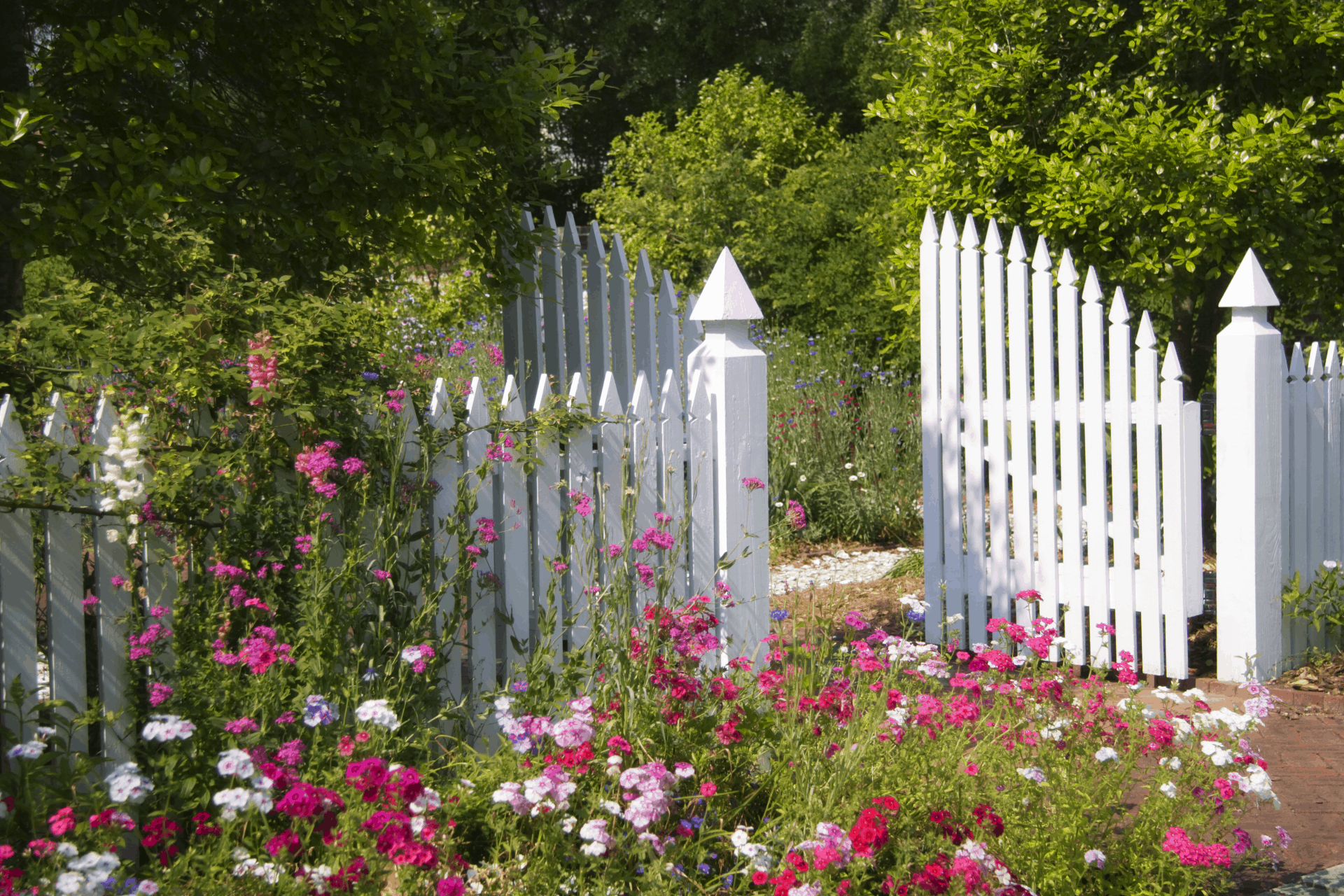 garden gate